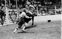 Greg Rhodes on Bull #8
