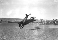 [Unidentified Cowboy riding bronc]