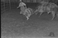 Rodeo clown Roger Bennett Bull fighting