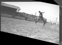 Bob Christensen on Pinto Pete