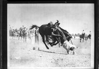 [Unidentified Cowboy leaving bronc; feet in air one arm hitting the ground]