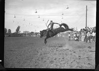 Larry Finley on Bear Park