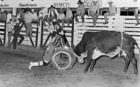 Rodeo clown Bob McGee Bull fighting