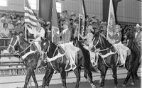 Grand entry