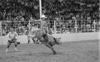 Chuck Carskaddon on Bull #167