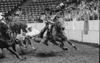 Eugene Weldon Steer wrestling