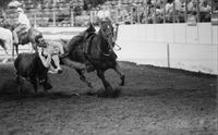 Jake Ramsey Steer wrestling