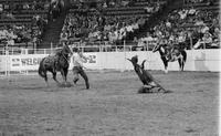 Jimmie Cooper Calf roping