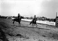 [Unidentified Cowboy seated on stationary horse roping a passing cowboy on galloping horse]