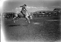 [Unidentified Cowboy riding bronc]