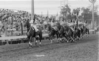 Grand entry Shriners on horseback