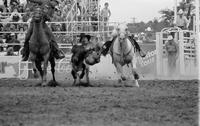 Tommy Puryear Steer wrestling