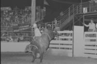 Jay Cochrane on Bull #W