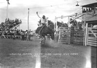 Leanord Murray on "Rag Time" Sidney Iowa Rodeo