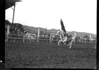 Buck Abbott, Shoulder Stand