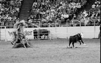 Frank Cranek Calf roping