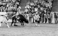 Cody Custer on Skunk