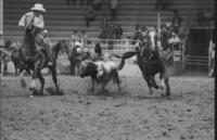 Manuel Neale Steer wrestling