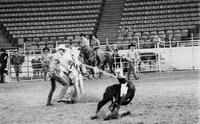 Leslie Jenkins Calf roping