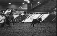 Dave Brock Calf roping