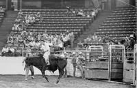 Dale Gideon on Jr.