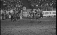 Jimmi Cooper Calf roping