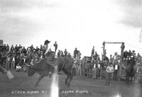 Steer Riding at the Sayre Rodeo