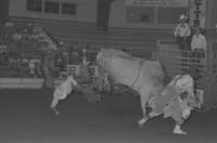 Rickey Lindsey on Bull #160