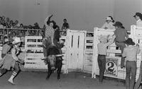 Dale Johnasen on Quinine