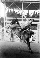 [Bill Linderman, 1945 All Around Champion, bareback riding]