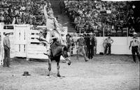 Randy Rissing on Itchy Britches