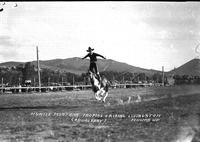 Montie Montana roping & Riding Livingston Round-Up