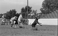 Kelly Wilson Calf roping