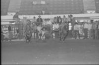 Billy Hale Steer wrestling