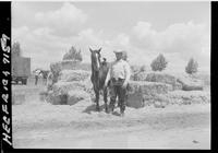 Ike Eidson & Horse  (Pose)