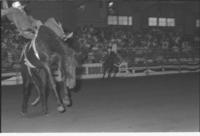Gordon Griffith on Hanna Hanover