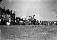 [Sylvester Roane riding bronc]