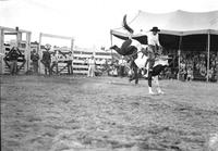 [Unidentified Cowboy riding bronc]