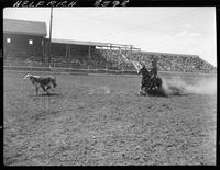 Chuck Sheppard Calf Roping