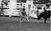 Rodeo clown Kenny Watson Bull fighting