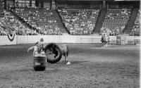 Unidentified Rodeo clowns and Bull Hesston Head Hunter