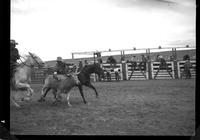 Pat Ryan Steer Wrestling