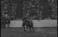 Rick Knolls on Bull #25K