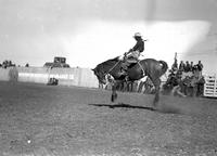 [Bill McMacken riding "Ted Husing"]