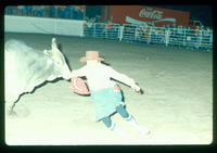 Rodeo clown Bob Romer Bull fighting