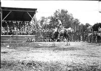 [Unidentified Cowboy riding and staying with his mount in trash infested arena]