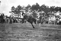 Mary Parks on "Fi Fi" Fla Cow Capital Round-Up Kissimmee