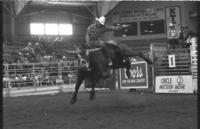Randy Magers on Bull #C39