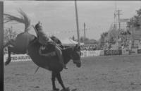 Danny Brady on Brown Jug