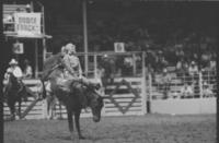Jan Youren on unknown mount, Girls Bareback riding